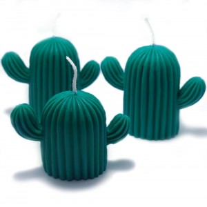 "Little Cactus Candles"