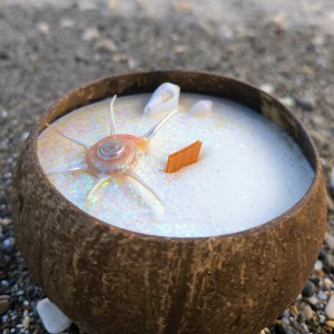 Bougie à la noix de coco